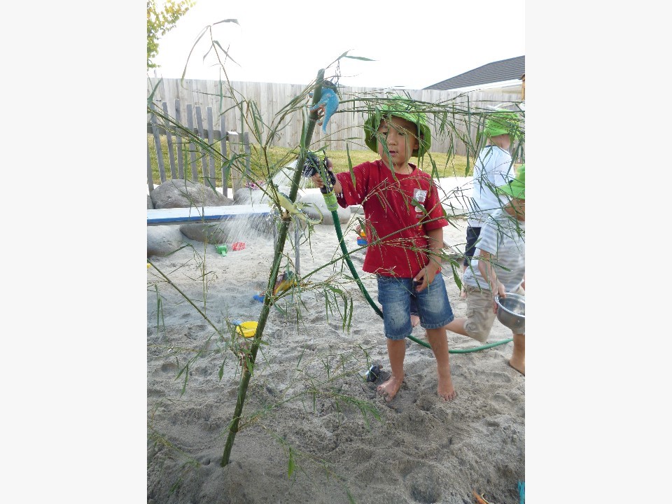 Marc’s animal forest 20 二月 2015