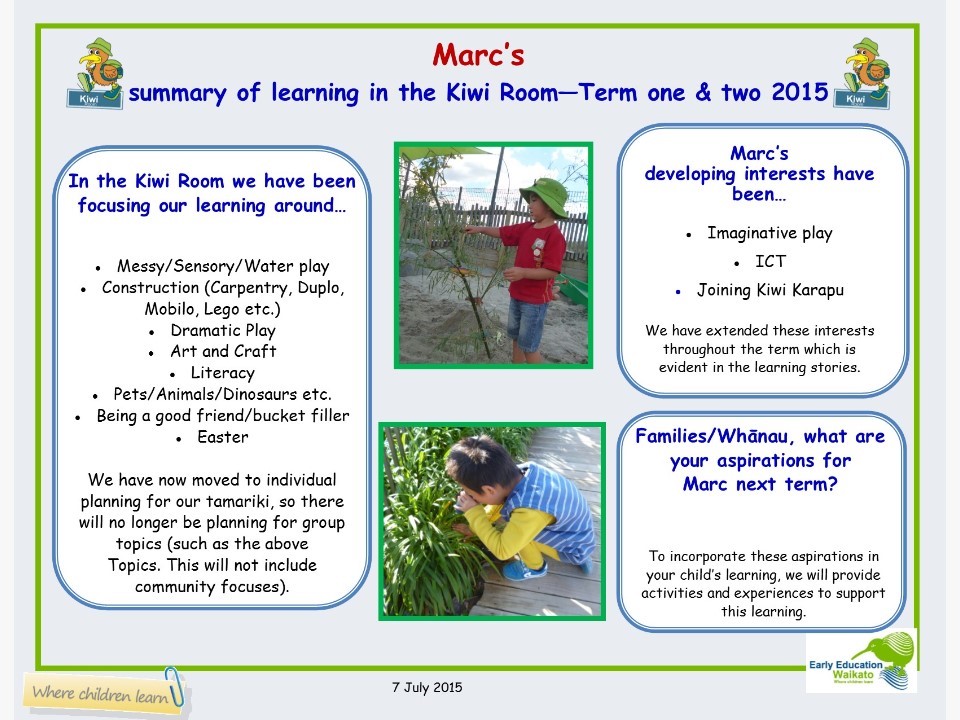 Summary of Learning – Term 1 and 2 2015 14 七月 2015