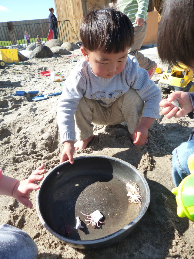 What’s hiding in the sand? 1 十月 2013